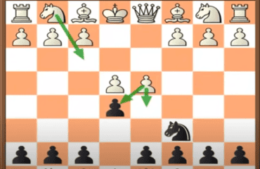 Chess Colorado gambit