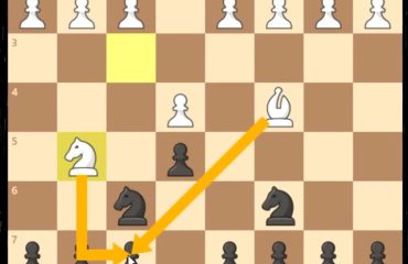Explain of first chess move
