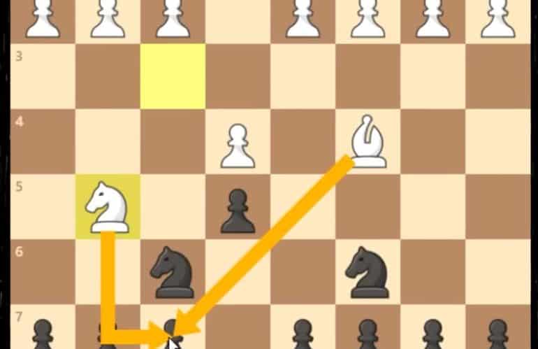 Explain of first chess move